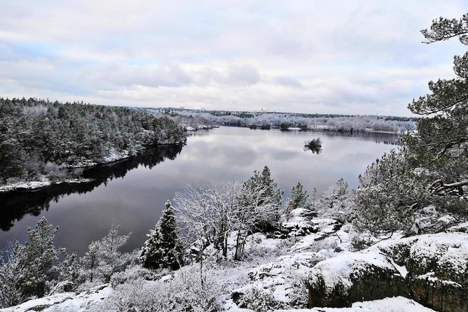 1-Day Small-Group Stockholm Nature Hiking - Why this is a good break from central Stockholm