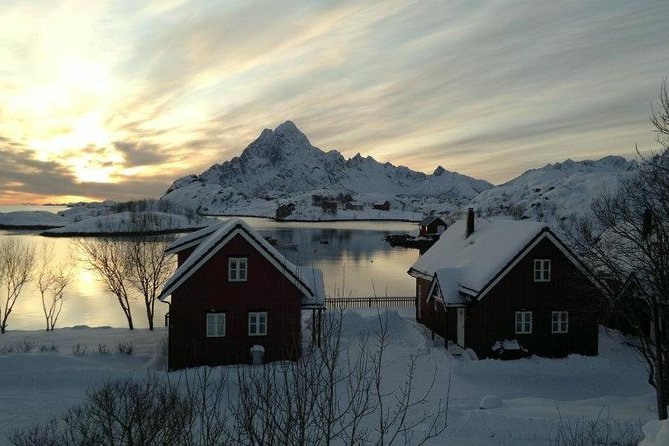 2- Day Lofoten Top Highlights Photo Tour - Practical details that affect your choice