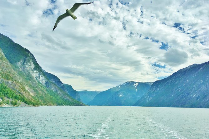 2-Day Round Trip from Bergen: THE GRAND SOGNEFJORD – fjords, waterfalls, glacier - Flåm and the famous mountain railway