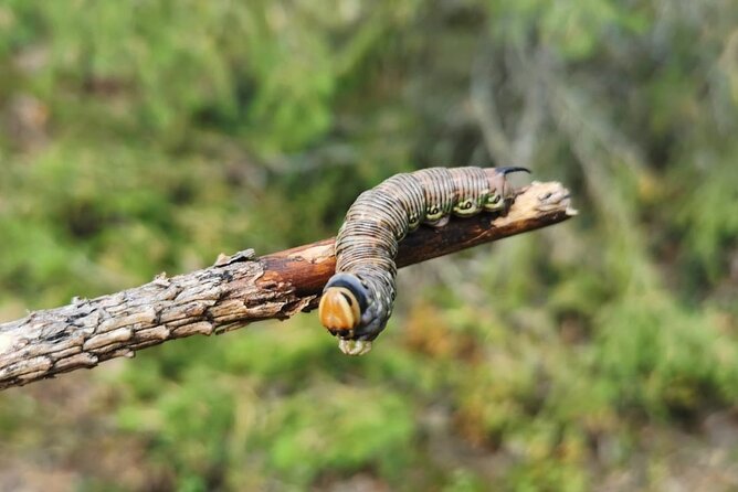 2-Day Small-Group Basic Skills Survival Course in Södermanland - What the two-day format really gives you