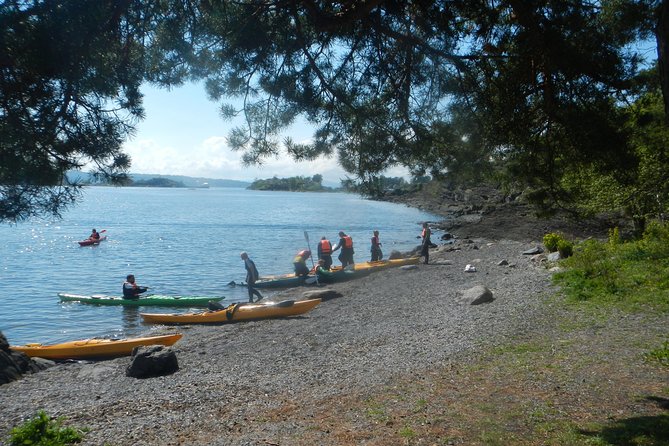 2- hour kayak trip on the Oslo Fjord - Key points to know before booking