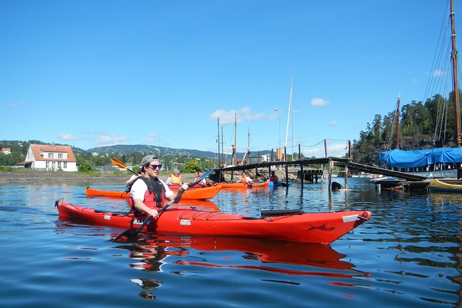 2- hour kayak trip on the Oslo Fjord - How difficult is the kayaking?