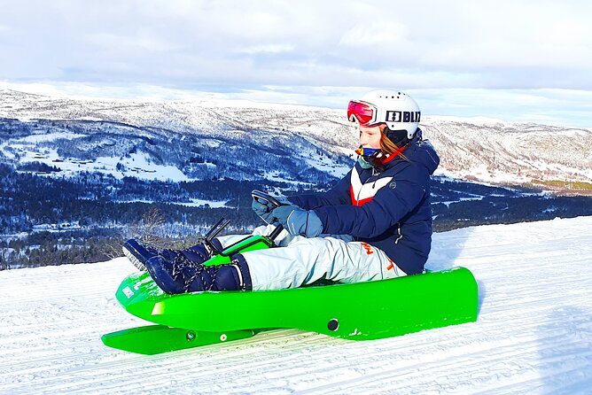 2-Hour Racing Toboggan at Dagali Fjellpark near Geilo in Norway - Key details before you book