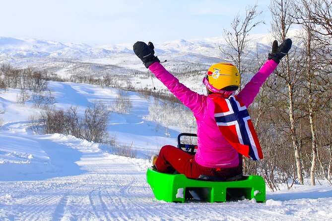 2-Hour Racing Toboggan at Dagali Fjellpark near Geilo in Norway - Daylight or evening sledding near Geilo