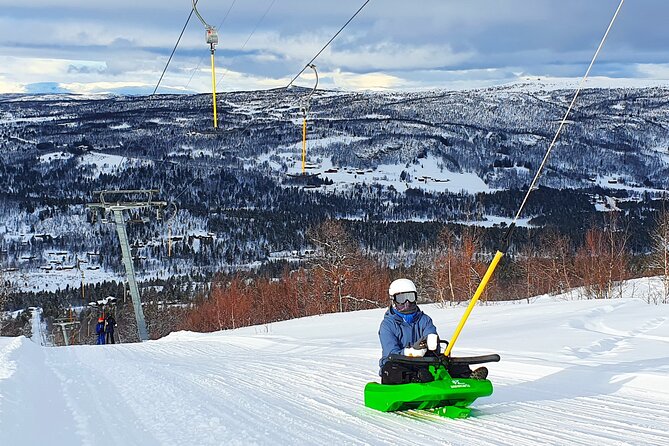 2-Hour Racing Toboggan at Dagali Fjellpark near Geilo in Norway - How the $55.25 price works for your day