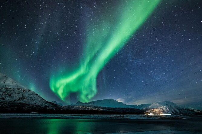 24hr Northern Lights & Whale Watching Cruise - Skjervøya and the long whale-watching session