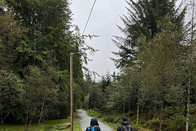 3-Hour Private Tour Hiked through the Bergen Mountains - The Fløibanen ride gives you Bergen at a glance