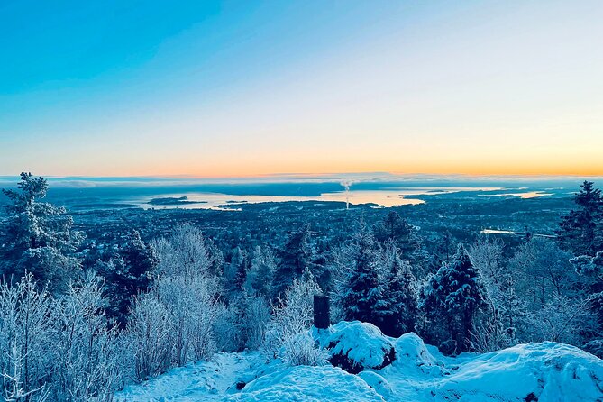 4 hours Best View of the Oslofjord Winter Edition - From central Oslo to the snowy Frognerseteren line