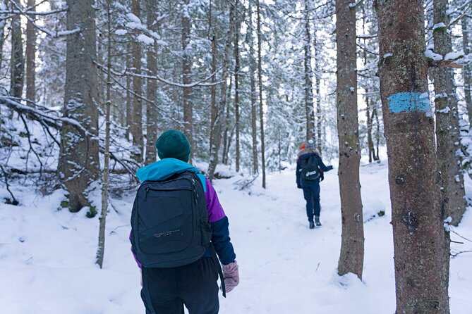 4 hours Best View of the Oslofjord Winter Edition - The final climb to Vettakollen Viewpoint