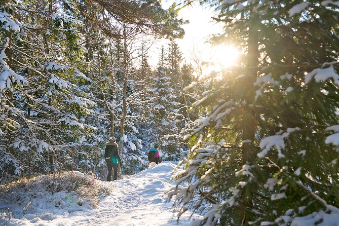 4 hours Best View of the Oslofjord Winter Edition - Who will enjoy this Oslo winter outing
