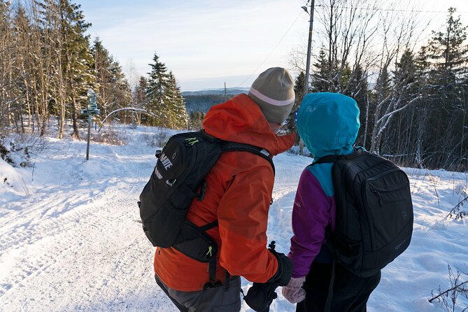 4 hours Best View of the Oslofjord Winter Edition - Practical details for a smooth morning