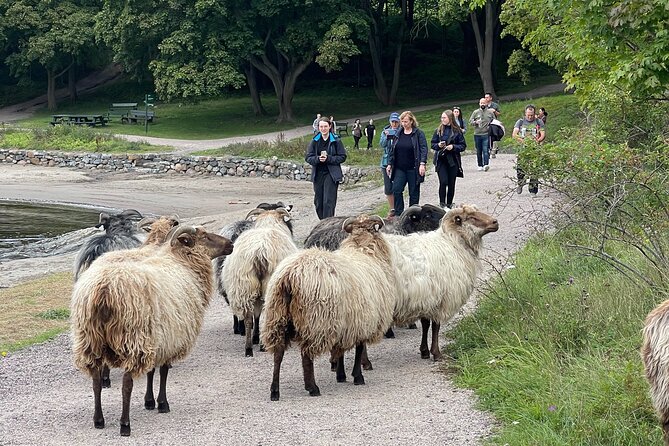 4 Hours Island Hopping Tour in Oslo - Hovedøya beach: a short walk with time to rest