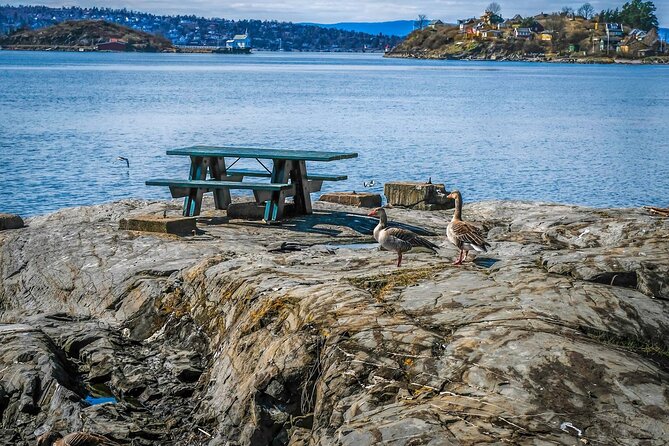 4 Hours Island Hopping Tour in Oslo - Shoes, weather, and the walking level