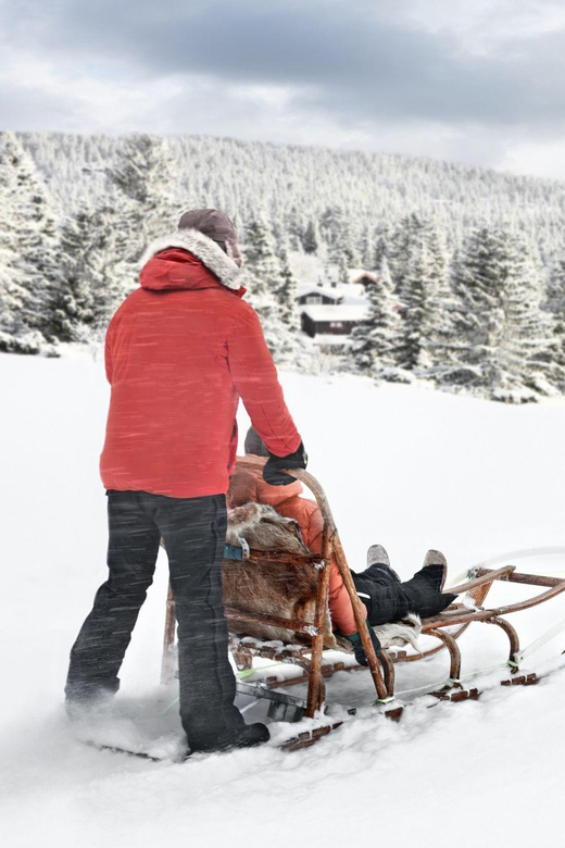 4hr Dog Sledding Trip on Finnmarksvidda - From Alta to the old Gargia mountain lodge