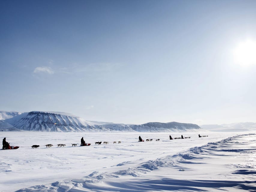 4hr Dog Sledding Trip on Finnmarksvidda - Coffee, stories, and time with the dogs at Gargia