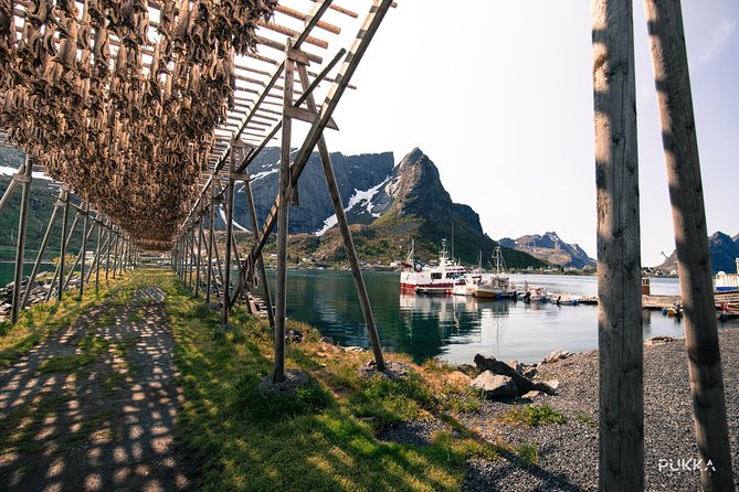 5 Highlights Of Lofoten From Svolvær - Kabelvåg Church and the old cod-fishing coast