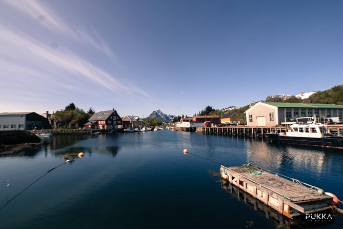 5 Highlights Of Lofoten From Svolvær - Haukland Beach and cold-water Lofoten