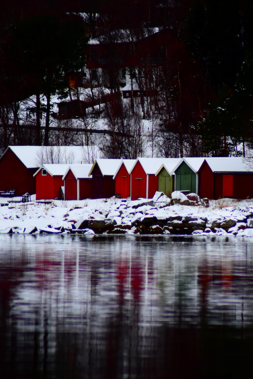 Abisko: Fjord Sightseeing and Photography Tour - Who will enjoy this outing most?