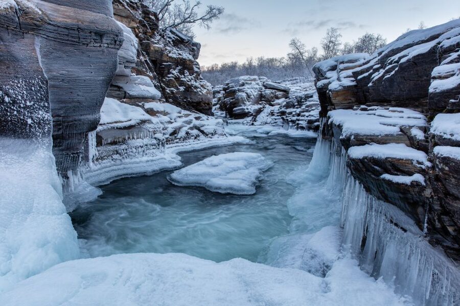 Abisko National Park: Scenic Morning Hike with Transfer - Wildlife sightings and reading tracks