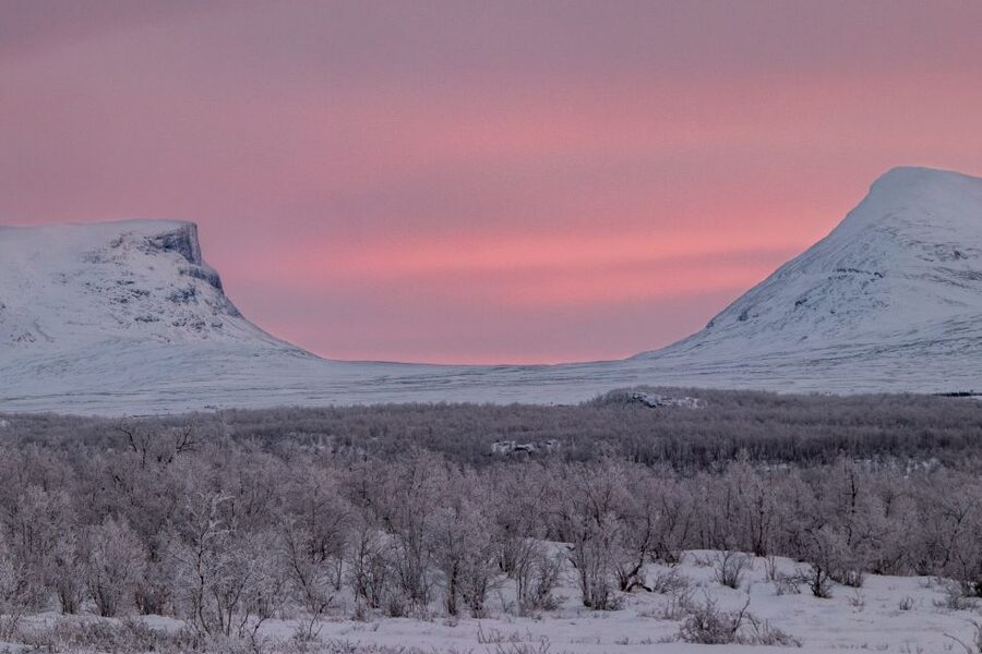 Abisko National Park: Scenic Morning Hike with Transfer - Who should book this Abisko hike?
