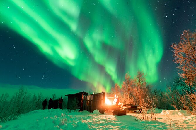 Abisko Northern Lights Tour with Photographer - Photography help that makes a difference