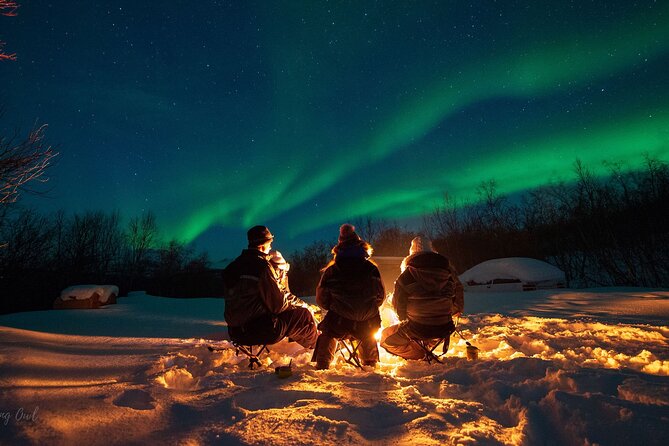 Adults Only Aurora Hunt with Wandering Owl - Why the route matters around Tromsø
