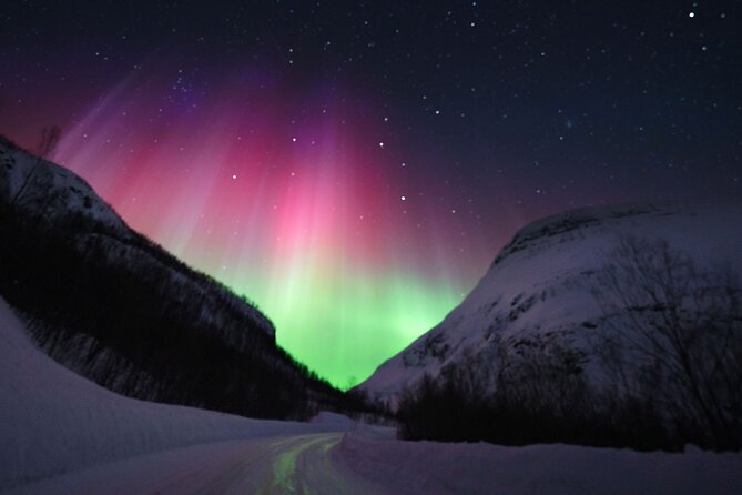 Adults Only Aurora Hunt with Wandering Owl - What the guide adds to the night