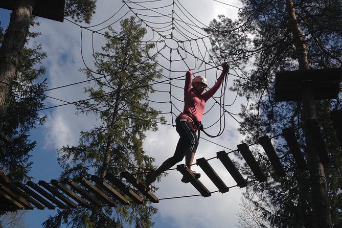 Adventure parc - What the Fjällnora course feels like