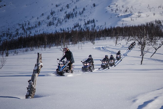 Adventure Snowmobile Safari - Is $267.02 a fair price?