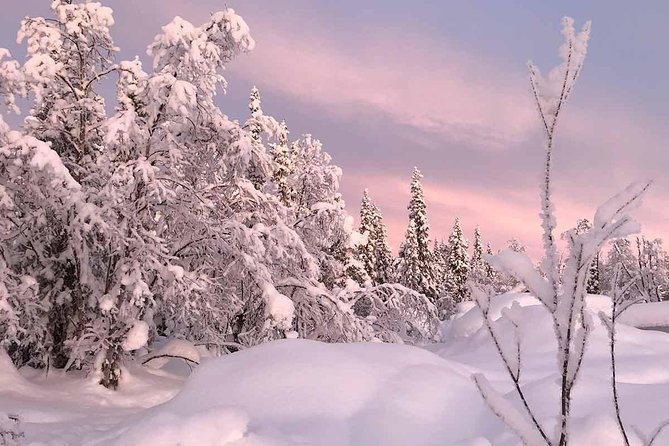 Afternoon Snowmobile Tour - Guides, group size, and the feel of the outing