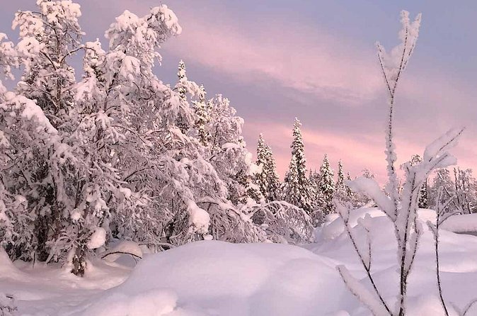 Afternoon Snowmobile Tour - Who will enjoy this Kiruna snowmobile ride