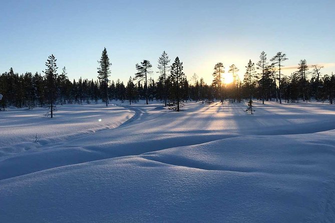 Afternoon Snowmobile Tour - Riding through forests and across frozen lakes