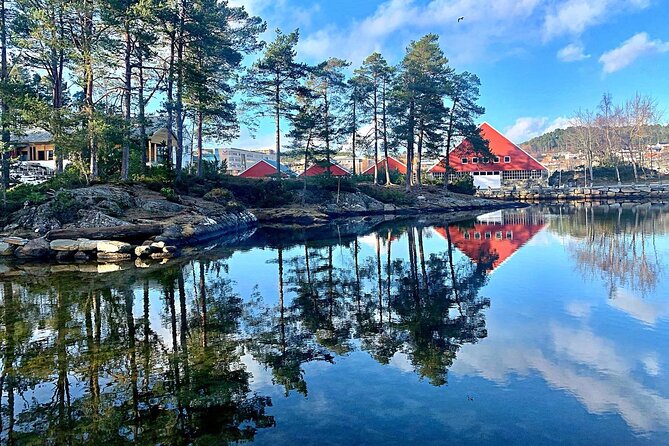 Alesund 3 hrs Private tour Medieval Village Sunnmore - Is $481.30 good value?