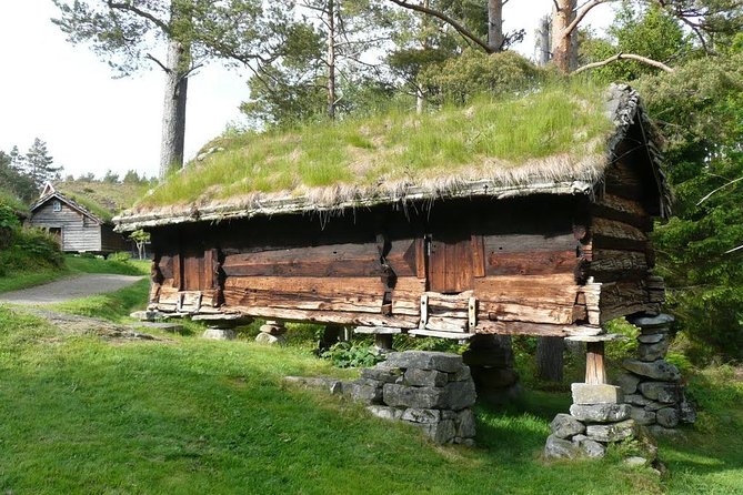 Alesund 3 hrs Private tour Medieval Village Sunnmore - Who will enjoy this outing most?