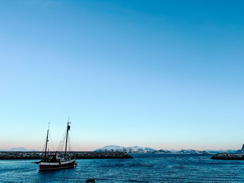 Ålesund: Ålesund and Surrounding Islands Audio Guide Tour - Why this tour works as an Ålesund introduction