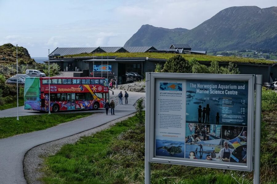 Alesund: City Sightseeing Hop-On Hop-Off Bus Tour - Stop 5: Tourist information and route planning