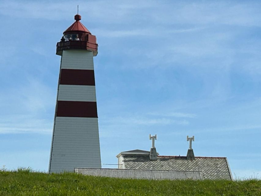 Ålesund: Giske and Godøy Islands Guided Sightseeing Tour - Timing, pickup, and cruise-day planning