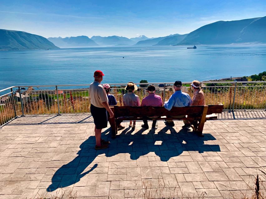 Alesund: Private Tour to the Viking Islands - What the private format changes