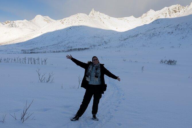 All-Inclusive Arctic Fjords and Sommarøy Scenic Tour - The value of a $220.77 day
