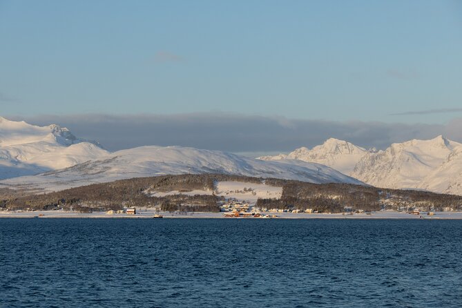 All-Inclusive Arctic Fjords and Sommarøy Scenic Tour - How the small group changes the experience