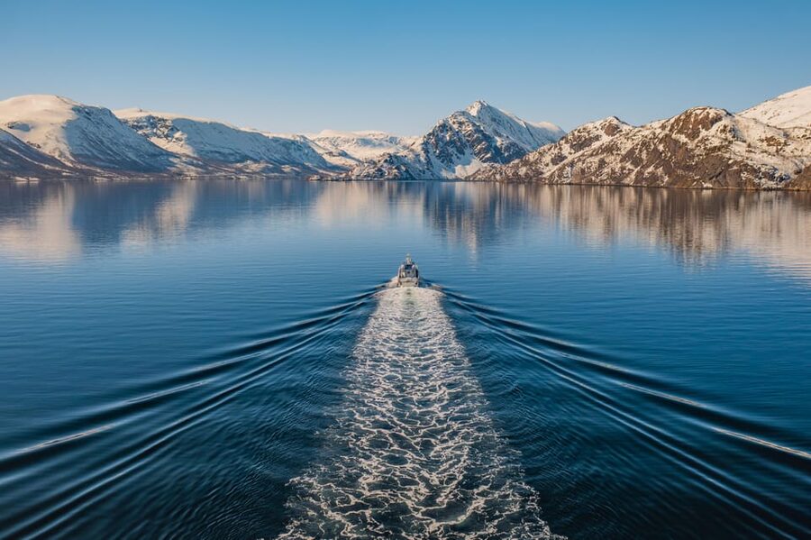 Alta: Altafjord Whale Watching in a Heated Boat - Why the herring season matters in Altafjord