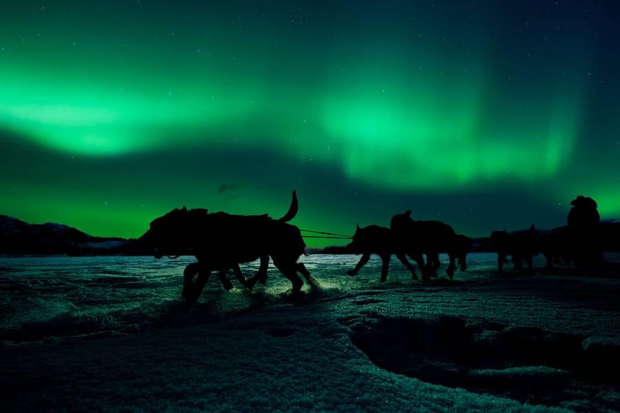 Alta: Dog Sledding Trip under the Northern Lights - Warming up at Gargia mountain lodge