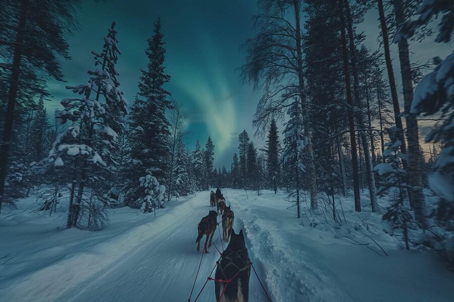 Alta: Dog Sledding Trip under the Northern Lights - Timing, weather, and practical limits