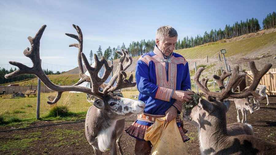 Alta: Reindeer - A carrier of Sámi Culture - Why the reindeer encounter feels different