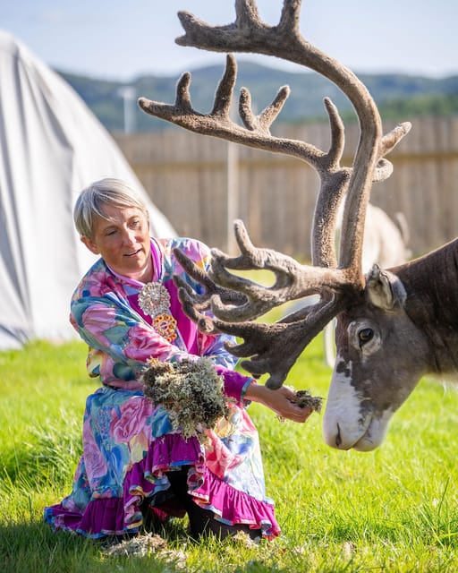 Alta: Reindeer - A carrier of Sámi Culture - What the one-hour visit is like