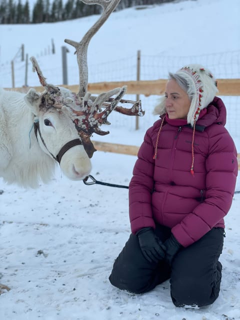 Alta: Sami Cultural Experience with Lavvu and Reindeers - Sami stories that connect past and present
