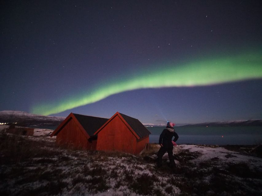 Alta: Small-Group Guided Northern Lights Tour - Why Alta is a strong place to hunt the aurora