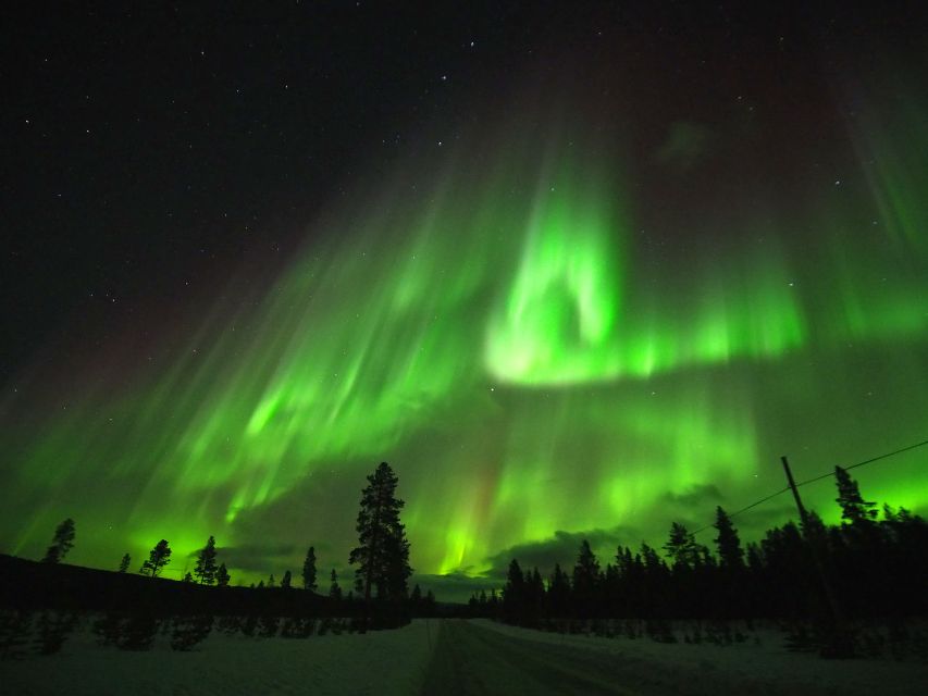 Alta: Small-Group Guided Northern Lights Tour - Campfire, hot chocolate, and the social side of the night