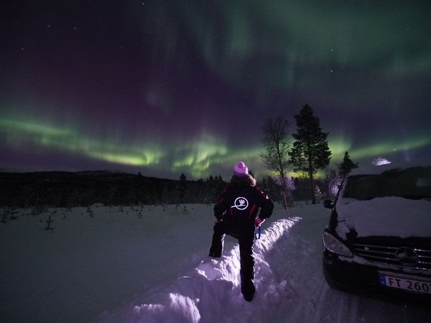 Alta: Small-Group Guided Northern Lights Tour - What you will learn about Alta and Finnmark