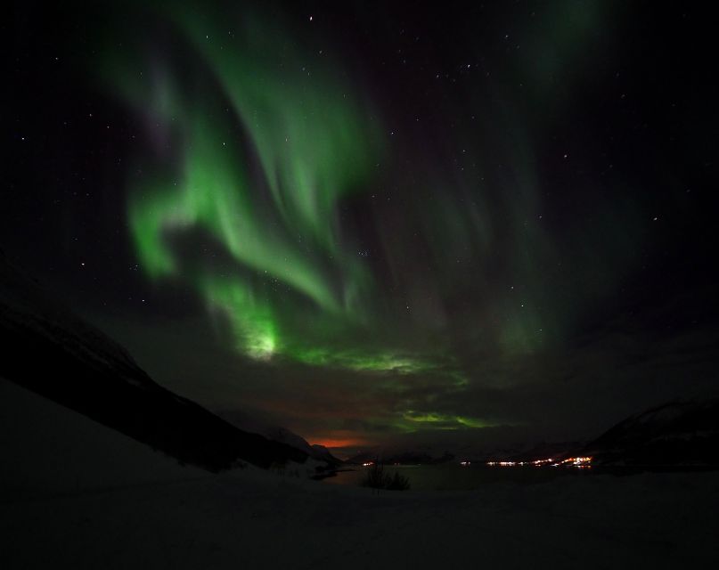 Alta: Small-Group Guided Northern Lights Tour - Who should book this Alta Northern Lights tour?